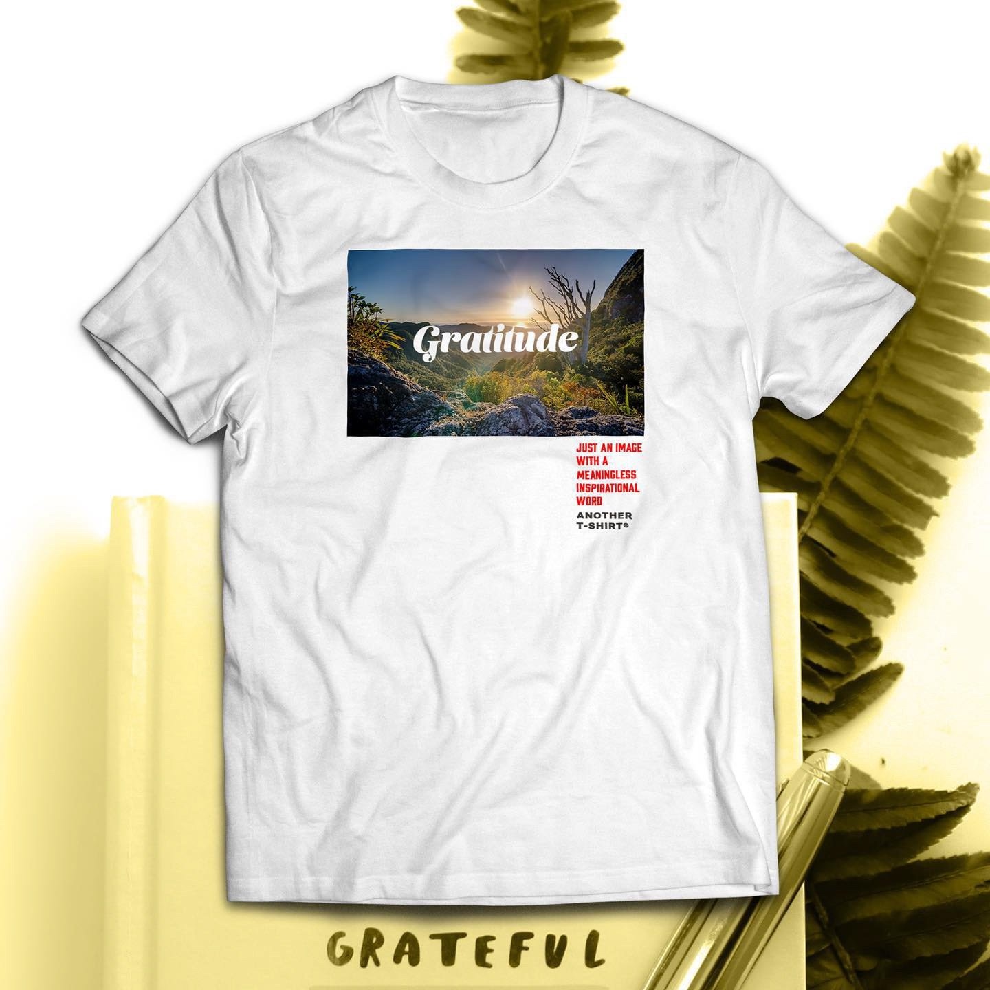 Camisetas, 12/50