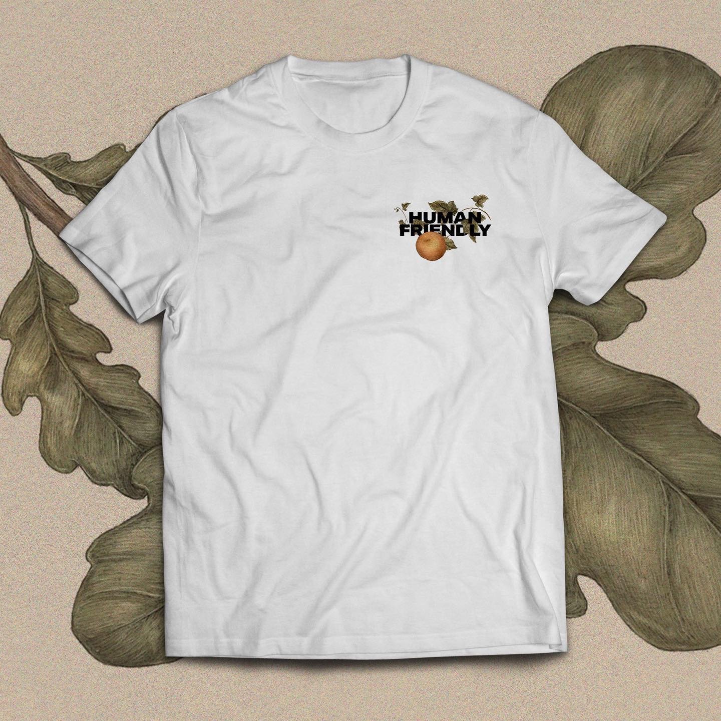 Camisetas, 49/50